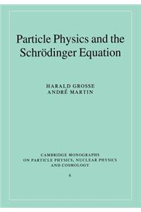 Particle Physics and the Schrödinger Equation