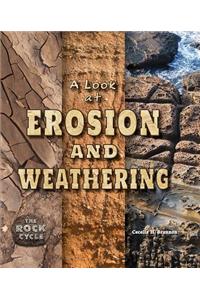 Look at Erosion and Weathering