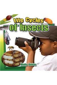Life Cycles of Insects