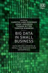 Big Data in Small Business