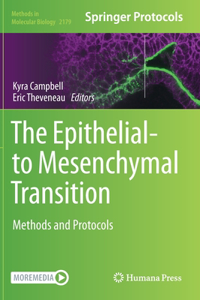 The Epithelial-to Mesenchymal Transition