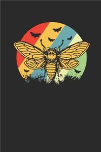 Honey Bee