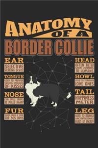 Anatomy Of A Border Collie