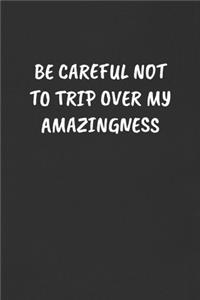 Be Careful Not to Trip Over My Amazingness