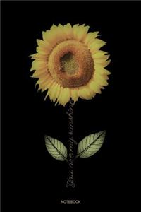 You Are My Sunshine