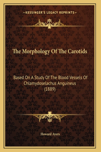 The Morphology Of The Carotids