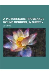 A Picturesque Promenade Round Dorking, in Surrey