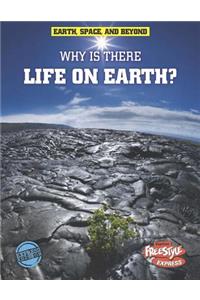Why Is There Life on Earth?
