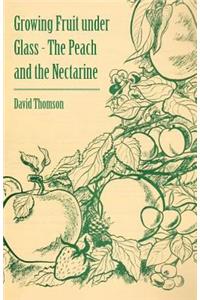 Growing Fruit Under Glass - The Peach and the Nectarine