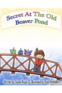 Secret At The Old Beaver Pond