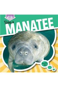 Being a Manatee