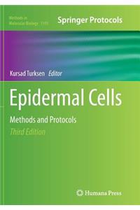 Epidermal Cells