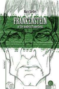 Frankenstein or the modern Prometheus