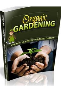 Organic Gardening For Beginners