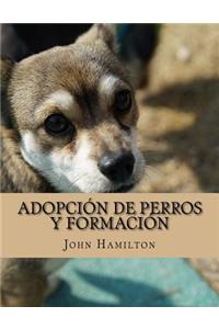 Adopción De Perros Y Formación