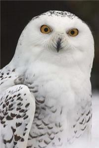 White Snowy Owl Bird Journal