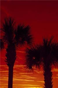 Silhouettes of Palm Trees Against a Red Sunset Journal