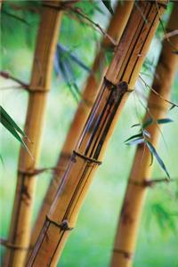 Close Bamboo Journal