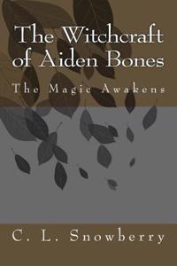 The Witchcraft of Aiden Bones: The Magic Awakens