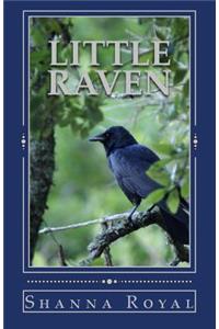 Little Raven
