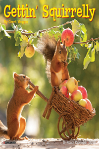 Gettin' Squirrelly 2026 7 X 7 Mini Wall Calendar