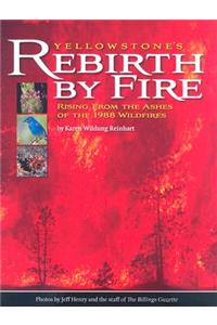 Yellowstone's Rebirth by Fire