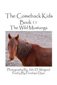 Comeback Kids--Book 11--The Wild Mustangs