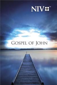 NIV Pocket Gospel of John (Package of 10)