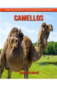 Camellos