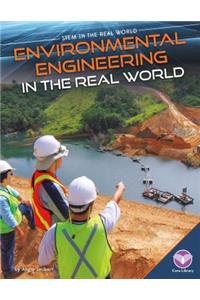 Environmental Engineering in the Real World