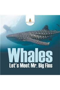 Whales - Let's Meet Mr. Big Fins
