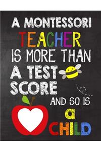A Montessori Teacher is More Than a Test Score and So is a Child