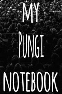 My Pungi Notebook