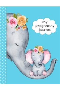 My Pregnancy Journal