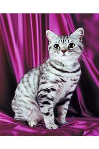 School Composition Book Posing Cat Photo 130 Pages