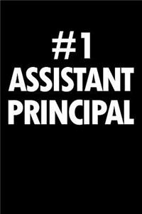 Assistant Principal Notebook