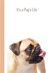It's a Pug's Life