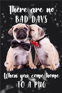 There Are No Bad Days When You Come Home to a Pug