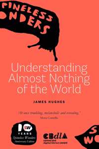 Understanding Almost Nothing Of The World