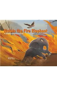 Molelo the Fire Elephant