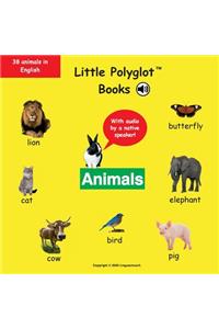 Animals