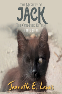 Mystery of Jack, the One-Eyed Kitten