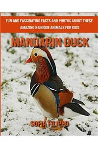 Mandarin Duck