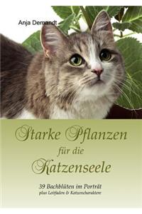 Starke Pflanzen für die Katzenseele