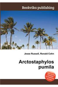 Arctostaphylos Pumila