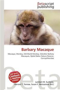 Barbary Macaque