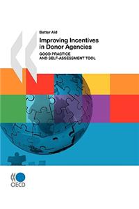 Better Aid Improving Incentives in Donor Agencies (First Edition)