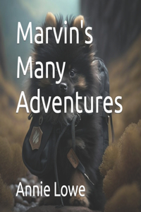 Marvin's Many Adventures