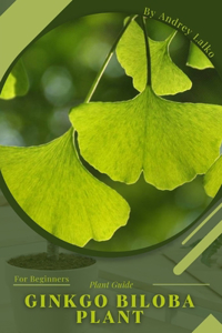 Ginkgo biloba plant