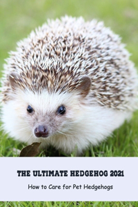 The Ultimate Hedgehog 2021